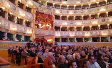 fenice metropolitana