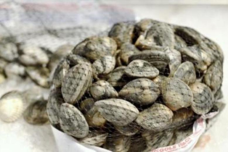 Vongole Vongole